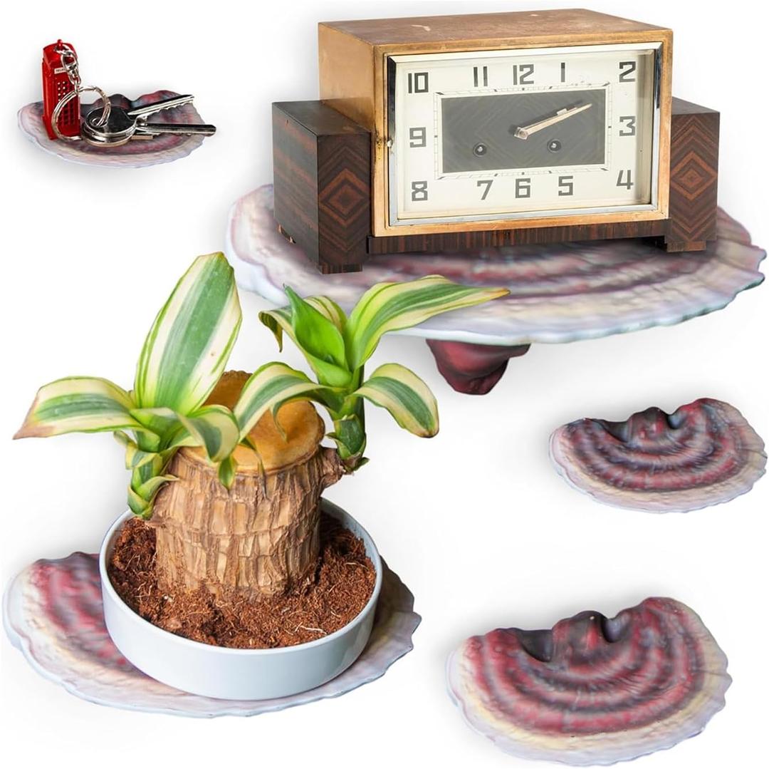 Wiosi 5-Piece Turkey Tail Reishi Mushroom Floating Shelves for Decorating Wall | Shelves for Room Wall | Perfect Floating Shelves for Room Decor | Leopard Gecko Tank Accessories