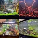 Azil Natural Aquarium Driftwood Root Driftwood for Aquarium Decor, 170g~0.38lb (1416), Fish Tanks, Terrariums, Aquascaping & Planted Tanks