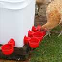 Chicken Feeder No Waste Automatic Poultry Feeder DIY Chicken Feeders and Waterer Set 6 Chicken Feeders Ports Auto Chicken Feeder Kit