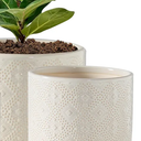 Docrin Ceramic Plant Pots Indoor, 6.5+4 Inch Planters with Drainage Holes for Home/Office - Set of 2 / White