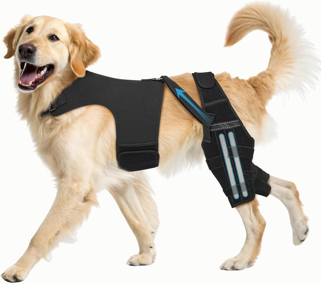 Dog Knee Brace for Torn ACL Hind Leg, Dog Leg Braces with 4 Metal Stabilizers Helps with Torn CCL, Luxating Patella, Ligament Injuries, Hip Dysplasia XL