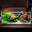 11.9 Gallon Rimless Low‑Profile Aquarium, Long Shallow Rimless Fish Tank