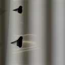 Frigidaire EFWC498, Top Load Hot & Cold Water Cooler Dispenser for Home, Garage, Dorm, RV & Cottage, 3 and 5 Gallon Bottles, 11" D x 11.5" W x 36" H, White