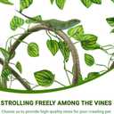 QUOZUO Reptile Tank Accessories, Artificial Plants Vines and Flexible Leaves With Suction Cups, Crested Gecko Tank Long Vines Hide for Climbing, Chameleon, Lizards