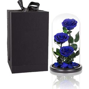 Preserved Roses Handmade Preserved Flowers in Glass Dome, Blue Rose Never Withered, Birthday Gifts for Women (13 inch)