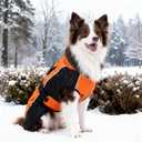 Dog Coat Dogs Jacket Waterproof Reflective Adjustable Dog-Winter Coats for Small Dogs Dachshund Coat-(Orange, Small)