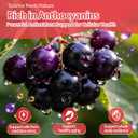 3 x Elderberry Immune Gummies, Daily Immune Support for Adults, with Vitamin C, Vitamin D3, Zinc, Gluten Free, Vegetarian, Strawberry Flavor,60 Gummies