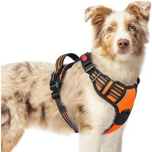rabbitgoo Dog Harness for Large, No Pull Pet Harness with 3 Buckles, Adjustable Soft Padded Pooch Vest with Instant Control Handle, Easy Walking Reflective Pet Vest for Large Dogs, Orange, L