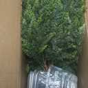 Two 4ft Artificial Plants Topairy Faux Cedar Trees for Outdoor Planters, 48IN Tall Fake Pine Bushes UV Resistant Large Potted Shrubs for Front Porch Dcor