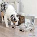 Petmate Pet Cafe Cat and Dog Water Dispenser - Water Bowl for Cats and Dogs, USA Made, 1.5 GAL, Pearl Ash Blue