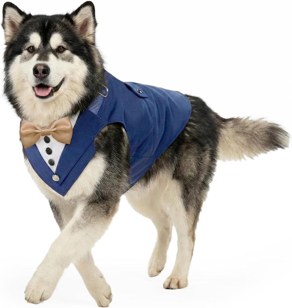 AVERYDAY 2 Pcs Dog Tuxedo & Bandana Set, Dog Suit Costume with Bowtie for Wedding Outfit, Pet Tux Harness with Leash Ring for Party Birthday Christmas, Formal Wear for Dogs XXL (Chest 31.5-38.5 in)