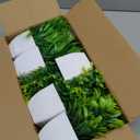 Unittype 12 Pcs Fake Plants Small Artificial Faux Plants for Shelf Mini Plastic Potted Greenery for Home Office Desk Bathroom Bedroom Indoor Decor(Green)