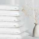 Goose Feather Down Throw Pillow Insert (20"x20", Pack of 2), Decorative Pillow for Sofa, Couch, Bed, Chair Cushion