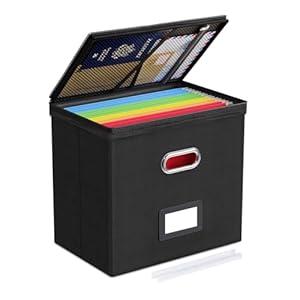 Oterri File Organizer Boxes with Lids, File Box with Mesh Pockets, Document Organizer Box for Letter Size Folders, Zippers Important Document Organizer (Black, Small-2 Pack Without Folders)