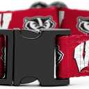 Wisconsin Badgers Collars and Leashes | Officially Licensed | Fits All Pets! (Large Collar)