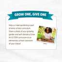 Back to The Roots Organic Seed Starting, Compressed Block expands to 12 Quarts, Made for Herbs, Veggies, Flowers