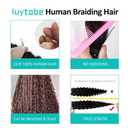 Boho Hair for Braiding 16 Inch P4/27 Human Braiding Hair for Boho Braids Human Curly Hair for Boho Knotless Braids 2 Bundles 100g Deep Wave Bulk Human Hair for Braiding (P4/27, 16 Inch)