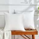 Pillows Basic Home, 2 Piece, 18x18 inch, White