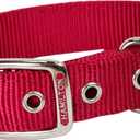 Hamilton Double Thick Nylon Buckle Dog Collar for Medium & Large Dogs, 1" Wide x 28" Neck, Red