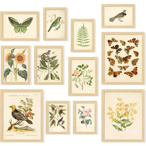 97 Decor Vintage Botanical Wall Art - Vintage Botanical Prints Plant Posters For Room Aesthetic, Nature Wall Decor Butterfly Paintings Bird Art, Floral Pictures Wall Decor For Bedroom (8x10 Unframed)