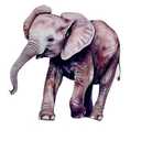 23 x 23 Inch Jungle Safari Party Decoration Jungle Theme Party Yard Sign Large Wild Animal Yard Sign Elephant Lawn Stake for Outside Zoo Home Garden Party Decor