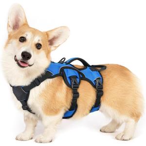 rabbitgoo Escape Proof Dog Harness, Soft Padded Full Body Pet Harness, Reflective Adjustable No Pull Vest with Lift Handle and Leash Clip for Large Dogs Walking Hiking Training, S, Blue (Small (Pack of 1))