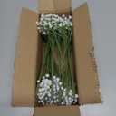Baby's Breath Artificial Flowers Bulk 10 Pack (30pcs) Faux Baby Breath Plastic Flower Fake Gypsophila Flower Arrangement for Crafts Fake Flowers Bouquet for Wedding Centerpieces White Baby Breath