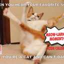 Funny Cat Calendar 2026 Funny Gift Cats Monthly Wall Calender 12 Month | American Made In The USA