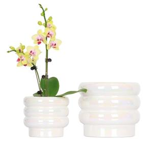 YFFSRJDJ 7.8 Inch + 5.7 inch 2 pcs Ceramic Plant Pots for Indoor Plants, Rainbow Pearl Glaze Planter with Planters for Plants with Drainage Hole, Orchid Pots, Succulent Pot, Flower Pot (White)