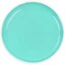 Yasutomo Sumi-E Watercolor in Porcelain Dish, Pearl Green