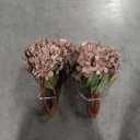 Artificial Flower Fake Silk Hydrangea Heads Bouquet with Stems Bulk for Fall Decoration Table Center Christmas Indoor Outdoor Faux Floral Realistic with Leaves Plants Crafts 8PCS(Brown)