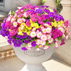 Artificial Flowers for Outdoors, 14 Bundles Fake Outdoor Flowers, UV Resistant Artificial Outdoor Plants & Flowers for Decoration, Colorful Morning Glory for Garden Porch Yard Patio, Mixed Color B (Purple, Fuchsia, Pink & Yellow)