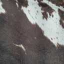 Cow Hide Faux Cowhide Rug: Cow Print Rug for Living Room Bedroom 4.6x5.2 Feet - Animal Print Skin Black and Brown Western