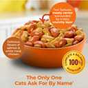Meow Mix Tender Centers Salmon & White Meat Chicken Flavors, Dry Cat Food, 14.2 lb. Bag (EXP 07/01/27)