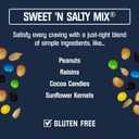 Kars Nuts Sweet N Salty Trail Mix Variety Pack, Pack of 24 Sweet N Salty, Sweet N Spicy, Peanut Butter N Dark Chocolate Individually Wrapped, Gluten-Free Snack Mix