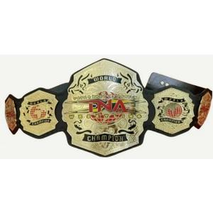 TNA World Wrestling Championship Belt Adult Gold Plated