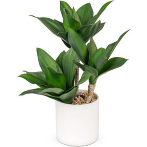 Hollyone Large Artificial Agave Plants Fake Three-Head Agave Succulent Plant Potted 15" Faux Plant in White Pot Succulent Aloe Plant Indoor for Desk Modern Home Decor (Style 2)