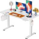 ErGear Height Adjustable Electric Standing Desk, 48 x 24 Inches Sit Stand up Desk, Memory Computer Home Office Desk, White