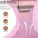 PUPTECK Soft Mesh Dog Harness and Leash Set Pet Puppy Cat Comfort Padded Vest No Pull Harnesses, Light Pink, S