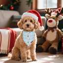 PTDECOR Christmas Dog Bandana, Santa and Deer Design Reversible Holiday Pet Scarf, Premium Durable Fabric, Red Blue Triangle Christmas Bandanas for Small Dogs Pets (Small)