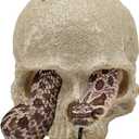 Snake Hideout, Reptile Aquarium Skull Decor, Resin Skeleton Head Fish Hide, Tank Terrarium Accessories, Reptile Hides and Caves for Fish Bearded Dragon Ball Python Leopard Gecko 4.7 × 3.5 × 3.7 Inch