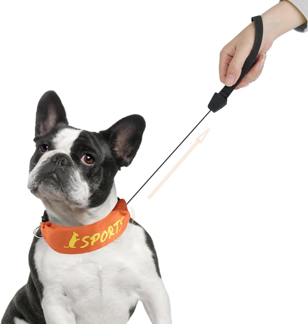 NAMSAN Retractable Dog Leash Collar for Small to Medium Dogs, Dog Collar with Retractable Leash Built-in, All-in-One, Adjustable, Orange, Size Small