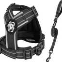 OneTigris Dog Harness and Leash Set, No Pull Soft Mesh Pet Harness, Reflective Adjustable Puppy Vest for ANTZ Small Medium Large Dogs, Cats (Black, XXXS)