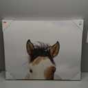 JLA Home It's in the Eyes Printed Canvas - 28 x 22 in