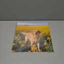 2026 Calendar, Wall Calendar 2026, Dogs 12 Month Wall Calendars (Jan - Dec 2026) 12" x 24" Opened, Hanging Monthly Calendar Thick Paper for Kids Family Adults Office Home