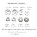 304 Stainless Fender Flat Washer Large Assortment Set for Screw Hardware Lock 75pcs (M4 M5 M6 M8 M10), with Case