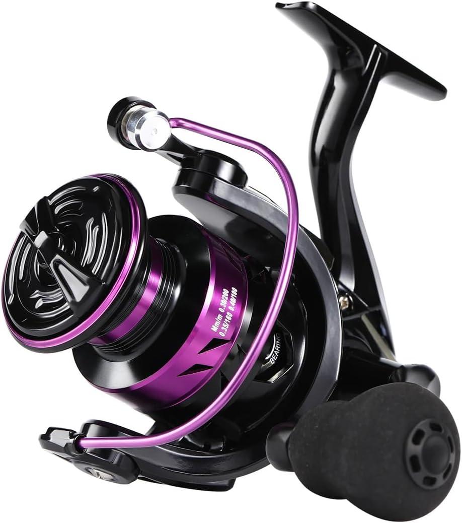 Spinning Fishing Reel High Strength Aluminum Spool Max Drag 10Kg Fishing Reel Freshwater for Fishing Pesca, A 2000
