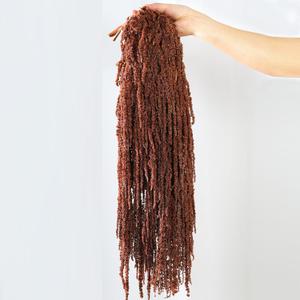 5Pcs Dried Amaranthus Hanging Flowers, 23" Brown Preserved Natural Wisteria for Wedding Arch, Fall Thanksgiving, Table Centerpiece, Wall Hanging Lover Tears, Floral Arrangement, Farmhouse Decor