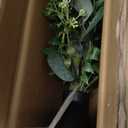 Artificial Eucalyptus Stems in Ceramic Vase 14.23" Fake Eucalyptus Plant Decor Black Donut Vase with Greenery Centerpiece Table Decorations Small Faux Green Plant for Home Farmhouse Wedding Table