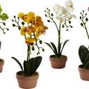 Nearly Natural Phalaenopsis Orchid with Clay Vase (Set of 4)